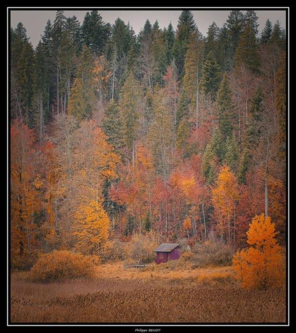 Le Doubs Chalet - Chalet Garnache - Labellise "Peche" Oye-et-Pallet Exterior photo